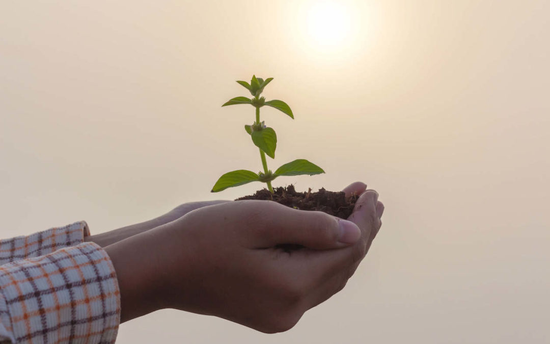 Emotional Safety: What it is and Why it is so Important